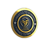 Spirit Fountain Global Church Logo